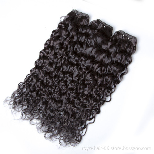 Brazilian Water Wave Virgin Hair Bundle Deals Wet and Wavy Virgin Brazilian Hair Extension 7A Unprocessed Natural Curly Weave